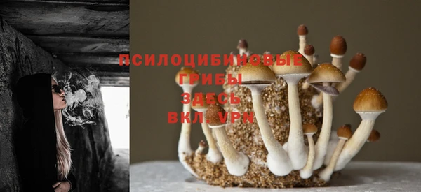 мяу мяу кристалл Баксан